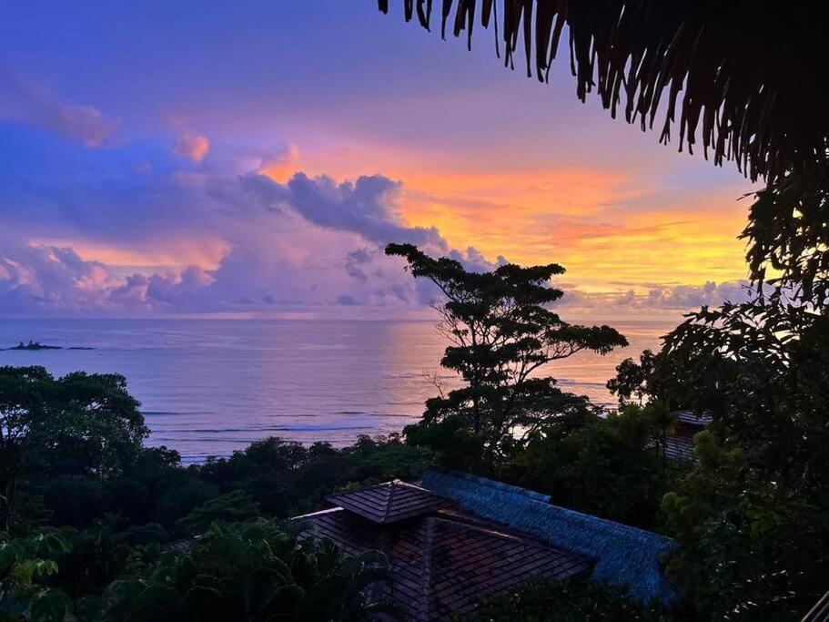 Villa Amor Del Mar With Breathtaking View Of Ocean & Jungle Dominical Zewnętrze zdjęcie