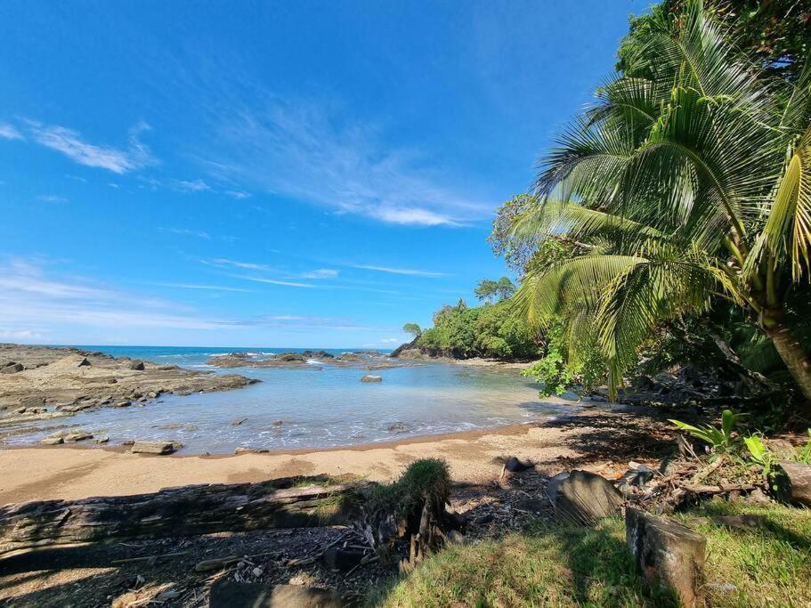 Villa Amor Del Mar With Breathtaking View Of Ocean & Jungle Dominical Zewnętrze zdjęcie